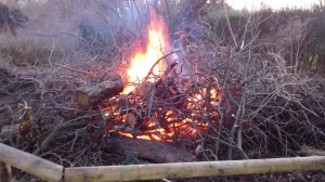 photo of bonfire in Turners Orchard - part of Wassaling celebrations