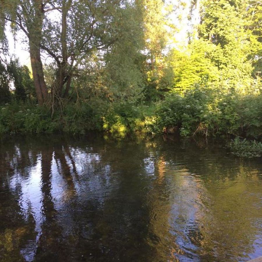 The Little Stour River in summer