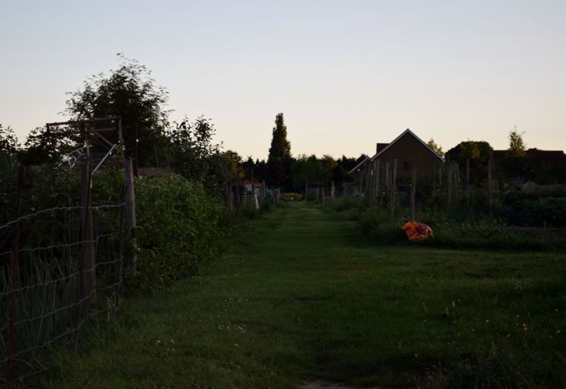 view across allotments